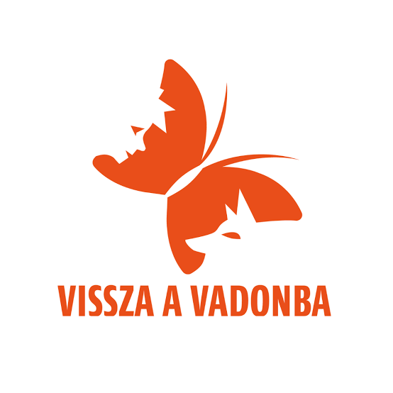 Vissza a Vadonba